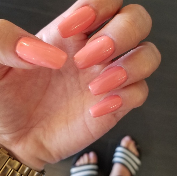 Meet your Posher, Noelani - Picture 1 of 1